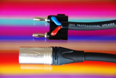 XLR Male to Dual Banana 1.5mm